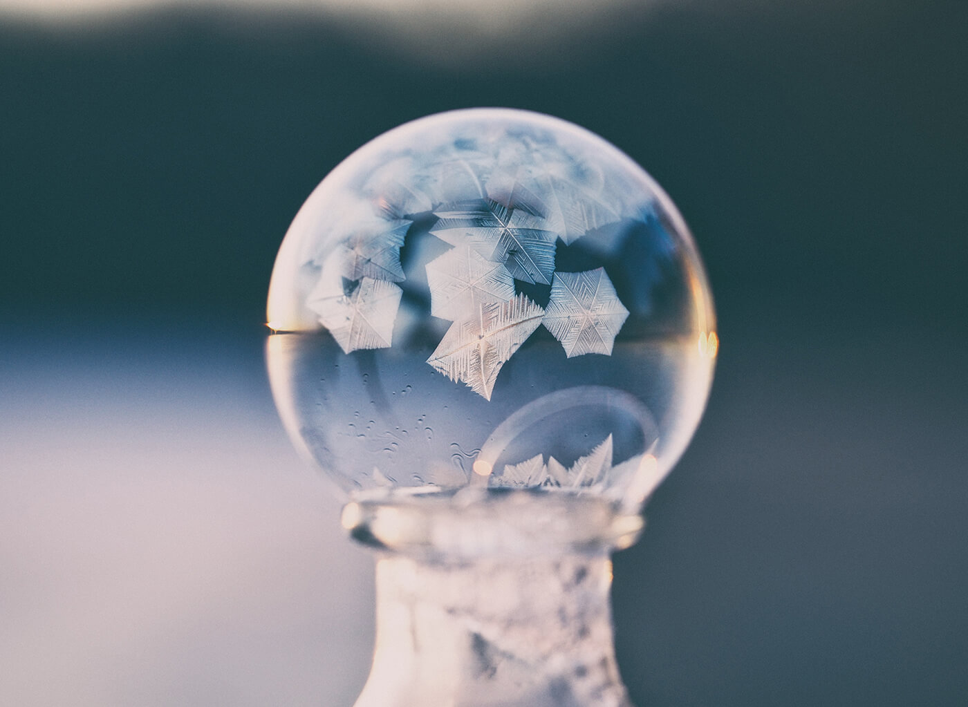 Regulatory Assessment and Intelligence
